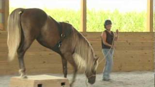 Rider Horsemanship Clinic Fun [upl. by Andri]