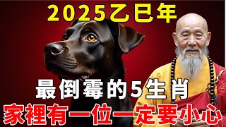 2025年最倒霉的五大生肖，家裡有一位一定要小心，錢再多工作再忙也要看看【禪語明心】生肖 運勢 風水 財運 生肖運勢 生肖運程 運勢 預言 [upl. by Liris261]