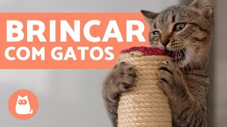 Como BRINCAR com um GATO e estimulálo🐱 [upl. by Zellner]