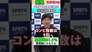 【SPAT4PP】2024･10･11 川崎競馬5R 日刊スポーツ細井記者 固馬予想 競馬 川崎競馬 競馬予想 [upl. by Caassi]