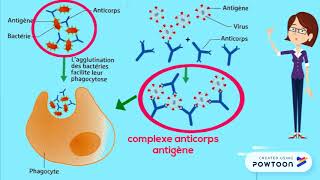 Réaction immunitaire spécifique [upl. by Anton]