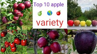 Top 10 apple variety 2022  Himachal Pradesh [upl. by Richia]