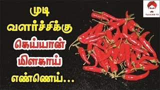 Hair முடி வளர்ச்சிக்கு கெய்யான் மிளகாய் எண்ணெய்  Homemade Oil for increase Hair growth [upl. by Eivlys9]