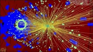 What Now For The Higgs Boson [upl. by Willin292]