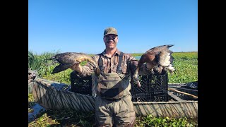 What happens in the marsh stays in the marsh Florida duck hunting [upl. by Karrah]