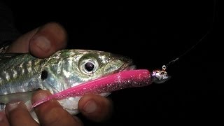 Spinning with varius lures from winter to summer 21 fish [upl. by Mairhpe]