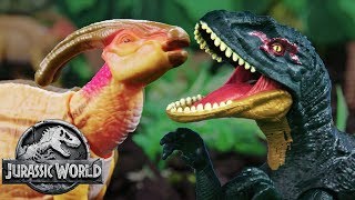 Dinosaur Battles Concavenator VS Parasaurolophus  Jurassic World  Mattel Action [upl. by Borman]