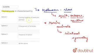 Cephalopoda is characterised by [upl. by Trueblood]