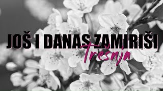 Gazde  Još i danas zamiriši trešnja Official lyric video [upl. by Amaryl]