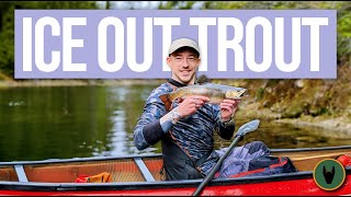 Ice Out Spring Brook Trout Camp  4 Nights in Algonquin Park Chasing Brookies [upl. by Reinertson]