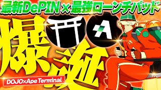 【仮想通貨】quot最強×最新quotのプロジェクトが誕生爆上がり期待大のDePIN銘柄とは？【暗号資産暗号通貨DOJOApeTerminal】 [upl. by Chicoine]