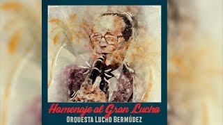 Homenaje al Gran Lucho  Orquesta de Lucho Bermúdez [upl. by Hatcher80]