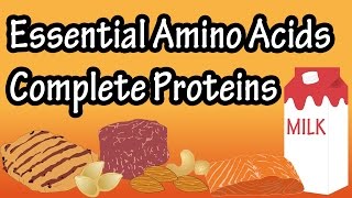 What Are Complete Proteins Incomplete Proteins Essential Amino Acids Non Essential Amino Acids [upl. by Gellman995]