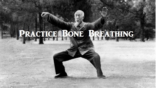 Taoist Masters and the Legacy of Bone Breathing [upl. by Teagan]