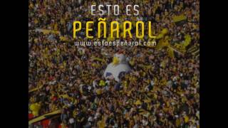 Tema nuevo PEÑAROL Tuyo Siempre  Andres Calamaro [upl. by Enyaj]