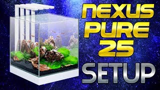 CIANO NEXUS PURE 25 TANK SETUP [upl. by Newbill137]