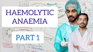 HAEMOLYTIC ANAEMIA hematology anemia [upl. by Vine]