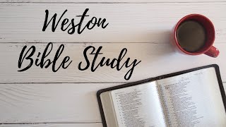 Weston Bible Study Genesis 4245 [upl. by Nole]