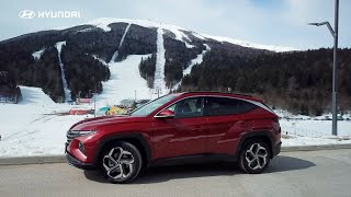 Hyundai Tucson 1 6 CRDi 2021 [upl. by Dlorag]