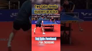 Two Table Tennis Master Practice worldtabletennis pingpong tabletennisplayer tabletennis sports [upl. by Georges]