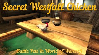 Secret Westfall Chicken  Alliance  Battle Pet  Where to find it in World of Warcraft  ep 42 [upl. by Ynney]