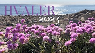 Hvaler  Norway 2023 [upl. by Madelle]