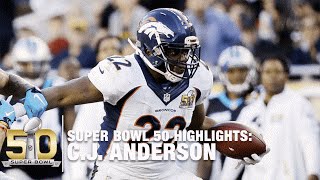 CJ Anderson Super Bowl 50 Highlights  Panthers vs Broncos  NFL [upl. by Nai370]