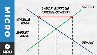 Price Floors The Minimum Wage [upl. by Nidnarb]