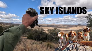 Sky Island Mearns [upl. by Gustav725]