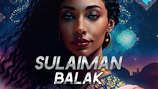 Sulaiman  Balak Slowed amp Reverb سليمان  بلاك [upl. by Ytsirhk]