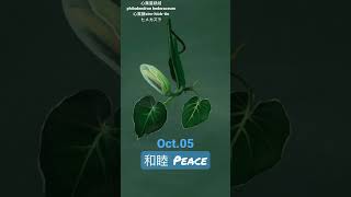 【366花語Oct5】和睦  peace [upl. by Bust]