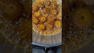 Amla morobba youtubeshorts youtube cooking homemade hobby food recipe explore myhobbby [upl. by Errised]