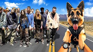 Rescuing a DOG from ZOMBIES Arizona Sunshine 2 [upl. by Aleekat]