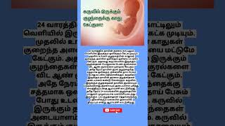 24 வாரத்தில் வயிற்றில் உள்ள குழந்தைக்கு காது கேட்குமா [upl. by Ortiz364]