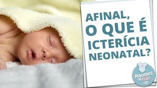 ICTERÍCIA NEONATAL É PERIGOSO  MACETES DE MÃE [upl. by Laurene]