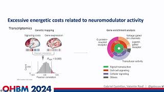 OHBM 2024  Oral Session  Gabriel Castrillon  The energetic costs of signaling as a proxy of co… [upl. by Las]