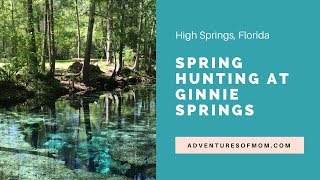 Ginnie Springs in High Springs Florida [upl. by Matthew]