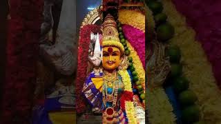 aadi masam amman thunai amman songs tamilshortsamman vibe🙏 [upl. by Cocks233]