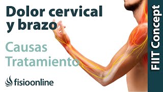 Ansiedad palpitaciones y dolor de espalda cervical brazo y clavícula  Causas y tratamiento [upl. by Obeded]