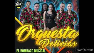 Orquesta Delicias  Corazones Petatiados Punta Parranda En Vivo Yarumela [upl. by Naujit]