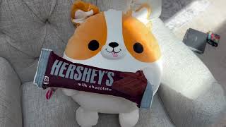 Snackles Hersheys Corgi Super Sized 14 inch Plush by ZURU Review [upl. by Dobb]