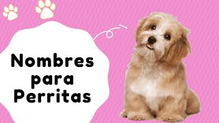 🐕Hermosos nombres para Perritas 🐕 [upl. by Ozmo]