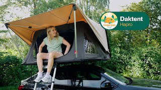 Hapro Vista XL daktent I Campingtijd S2E4 [upl. by Laryssa]