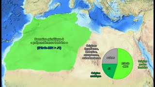 Les Maghrébins sontils arabes ou berbères Synthèse des apports historiques [upl. by Cyprio]