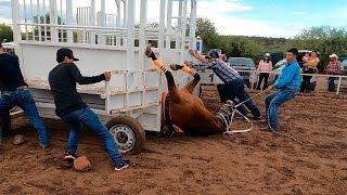 Carreras de Caballos en Cucurpe 25 Junio 2022 [upl. by Anaitak]