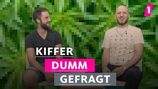 Kiffer haben ihr Leben nicht im Griff  1LIVE Dumm Gefragt [upl. by Nnaik]