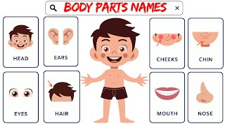 Learn Body Parts Song  3D Animation Nursery Rhyme for Kids [upl. by Ynetruoc]