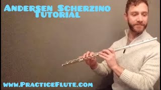 Andersen Scherzino Practice Flute [upl. by Doersten]