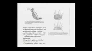 Giuseppe Longo  Randomness increases biological organization [upl. by Enileme]