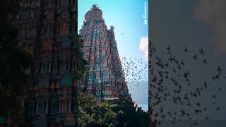 MADURAI MEENAKSHI AMMAN WHATSAPP STATUS TAMILAAYIRAM KAI UNDENDRALTAMIL DEVOTIONAL BEATS [upl. by Esorbma]